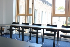 tabara internationala engleza si studii academice (15)