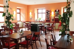 Tabara internationala limba germana intensiv Meersburg (7)